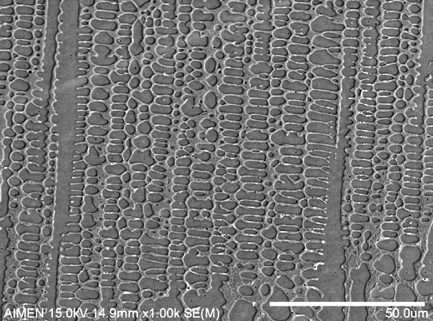 SEM-micrographs-of-the-stellite-6-microstructure